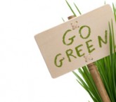 Green Process Management