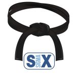 Lean Six Sigma Black Belt Certification & Training | Black Belt Course