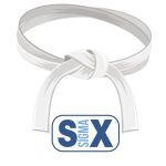 six sigma training, white belt, six sigma, 6sigma.us