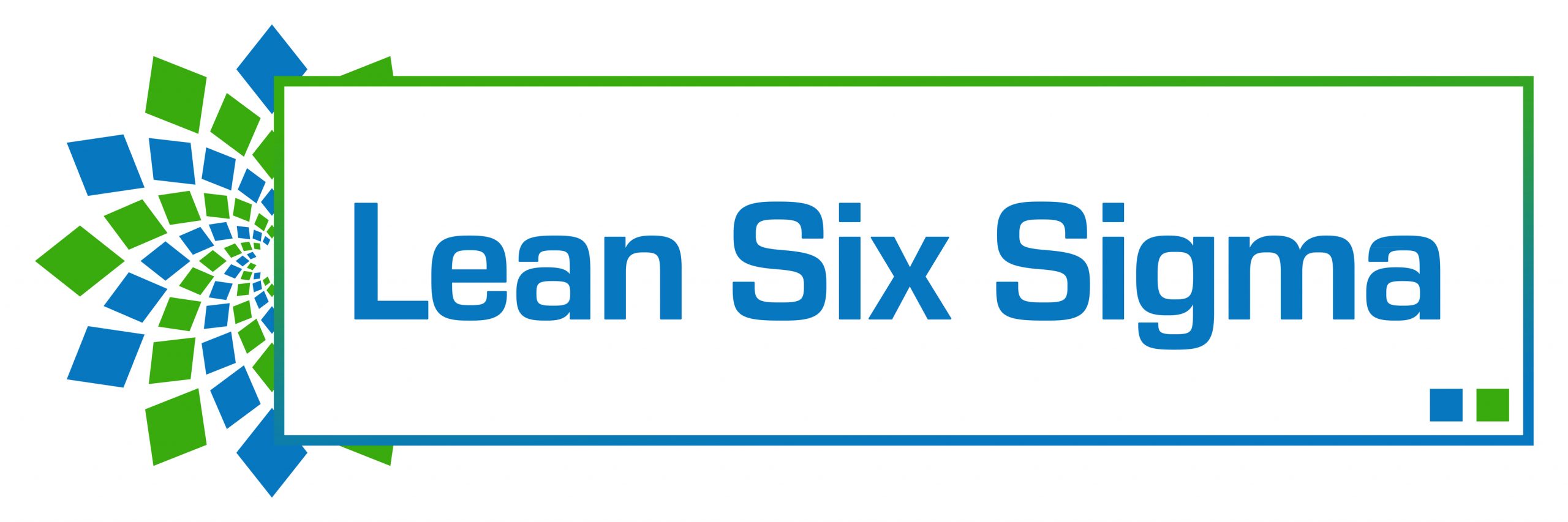 success story about lean six sigma