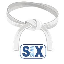 Six Sigma White Belt Training 