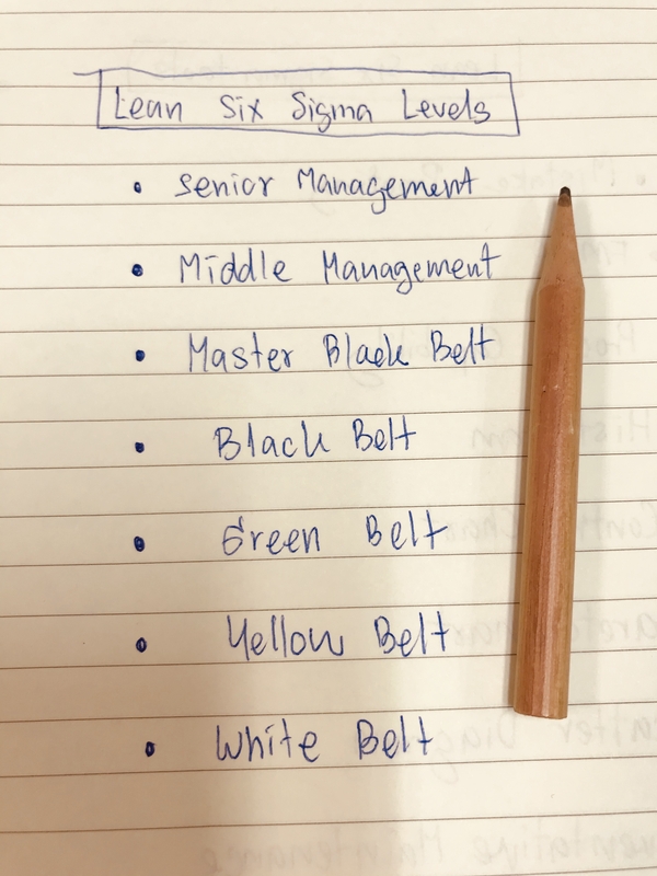 Six Sigma Master Black Belt
