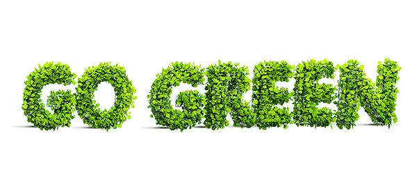 Green Process Management